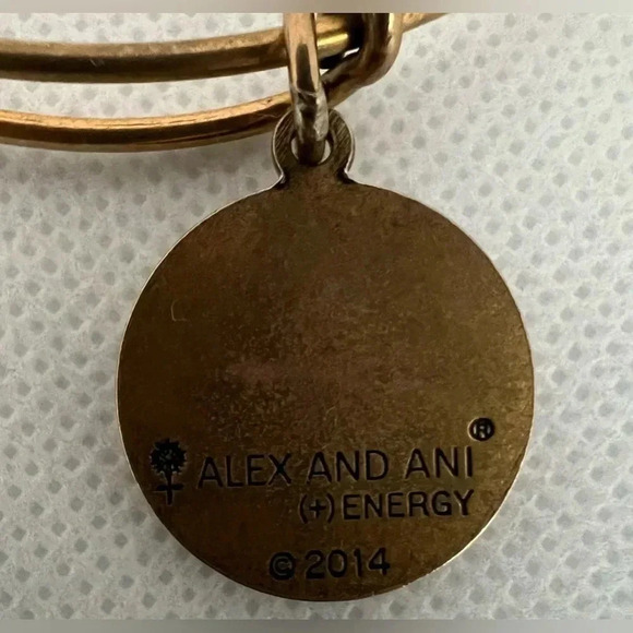 Alex and Ani | Mother/child Hand in Hand charm bracelet. - Picture 9 of 12